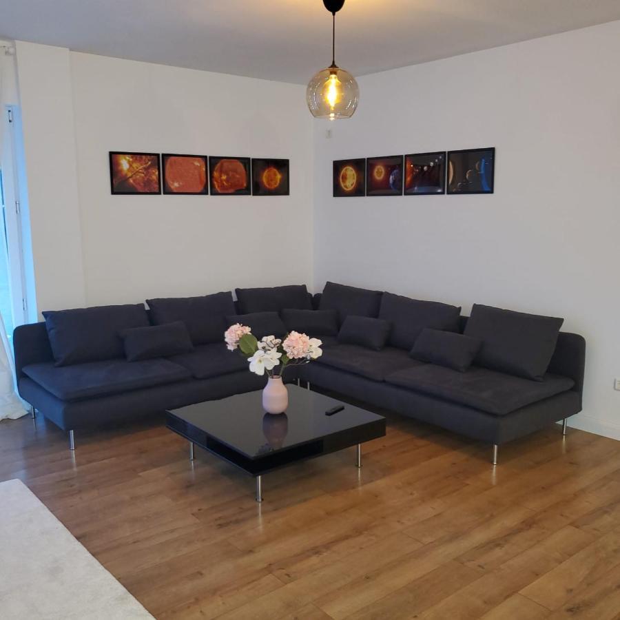 Galaxy Residence Villa Отопени Экстерьер фото